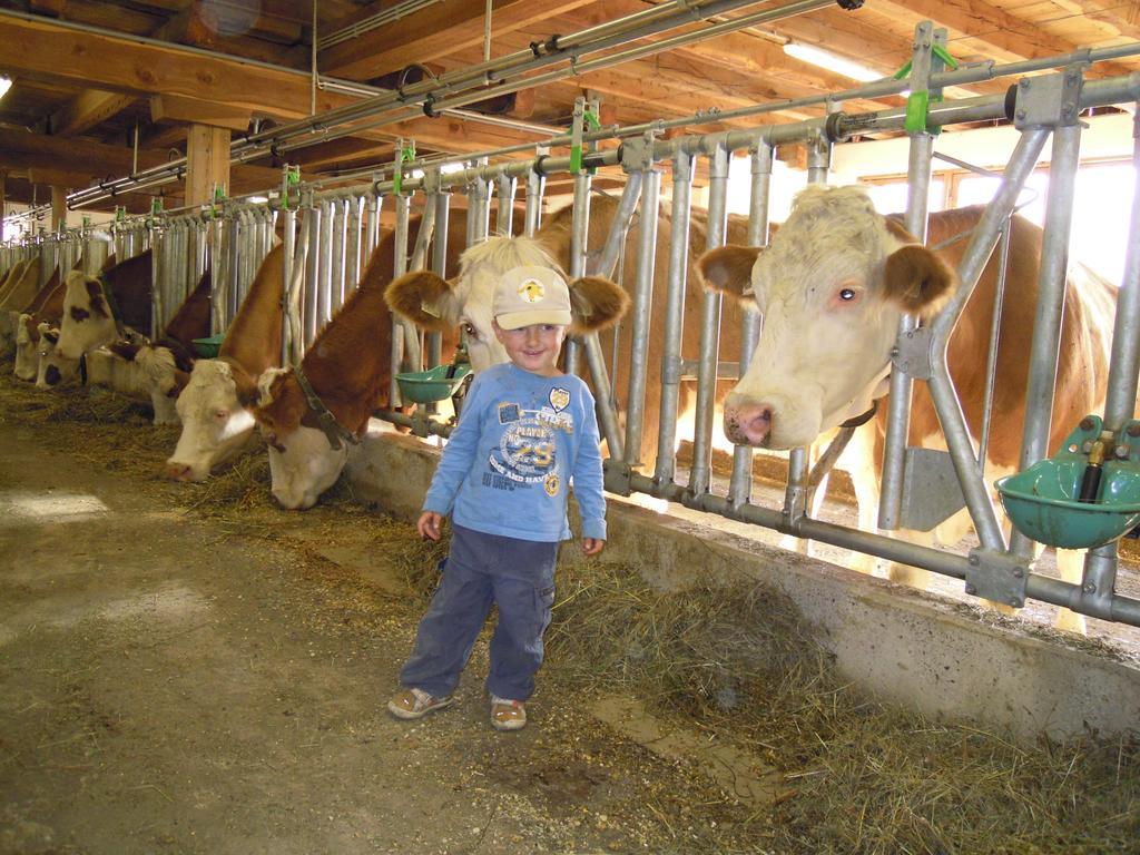 Ferienhaus Resinger Matrei in Osttirol Luaran gambar